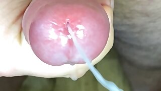 Close up cock edging cum